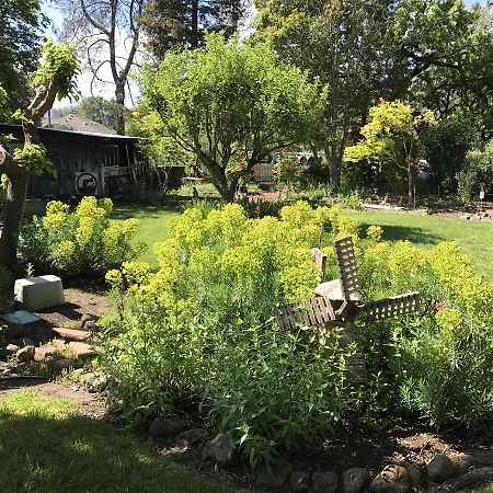 Trailside Inn Bed And Breakfast Calistoga Exterior foto