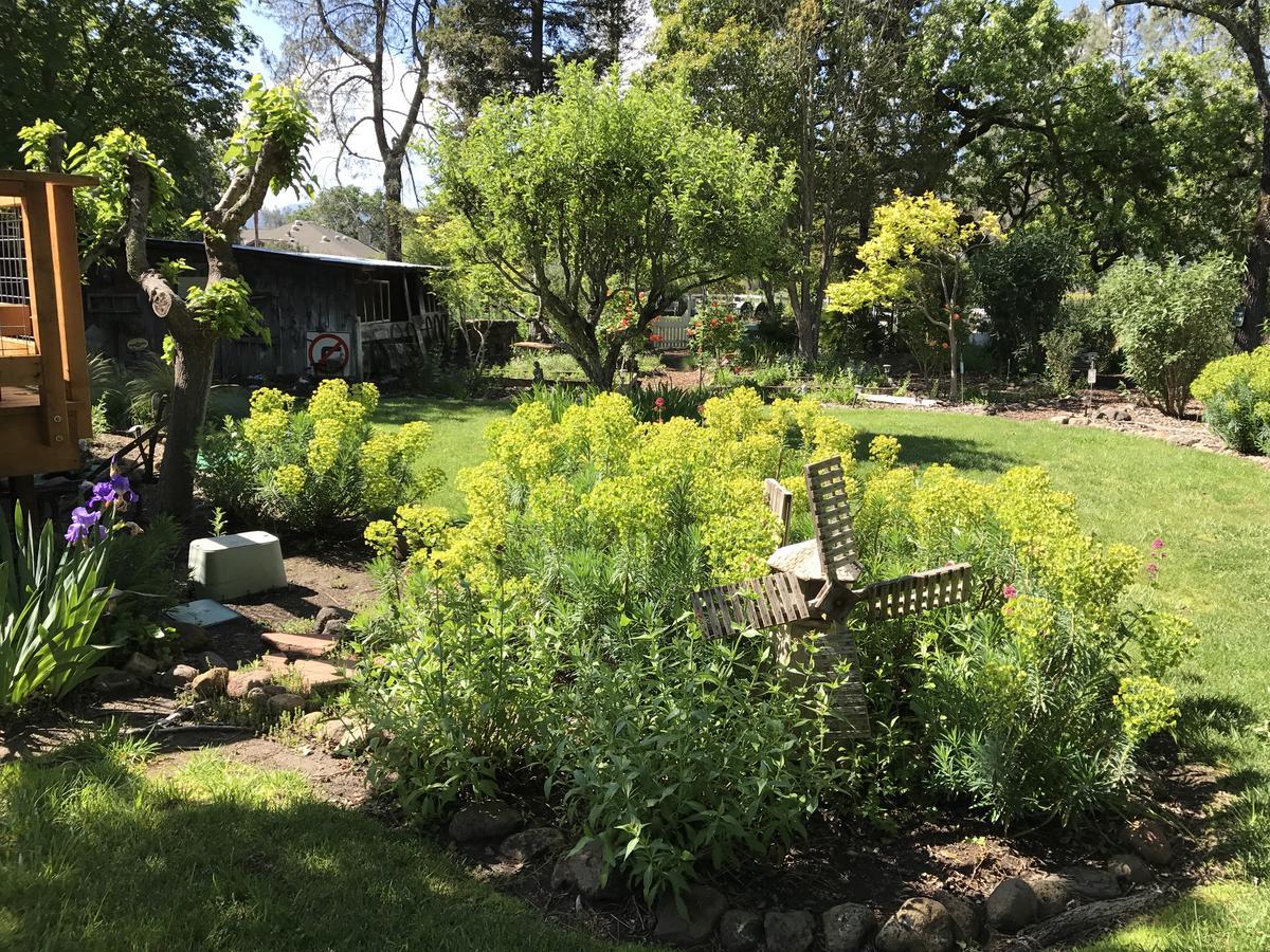 Trailside Inn Bed And Breakfast Calistoga Exterior foto